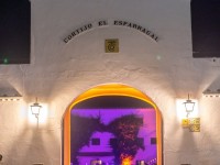 1780991446_elf-sevilla-363.jpg